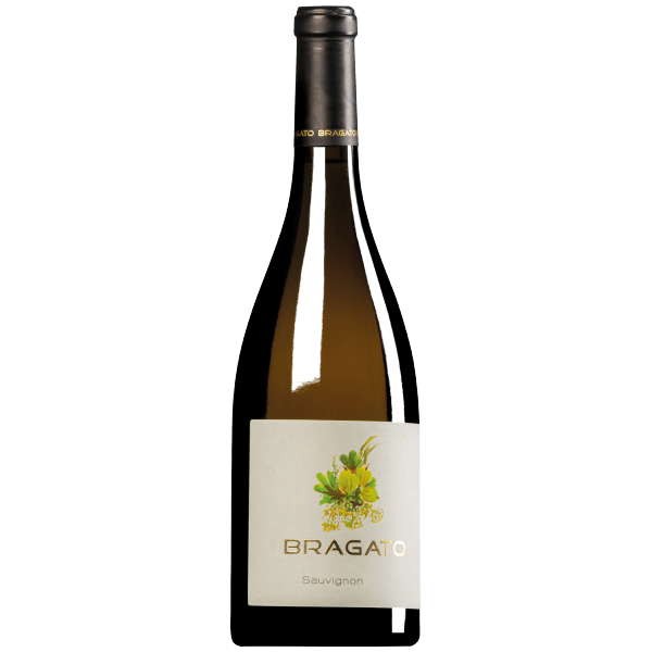 Antonio Bragato Aromenstrauß Sauvignon Blanc Bianco Colli Orientali del Friuli DOC  - 2020